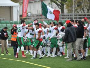 mundial mexico bandera