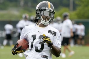 steelers novato
