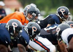 bears line