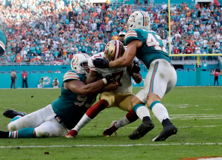 NinersDolphinscolor40p-1024x738.jpg